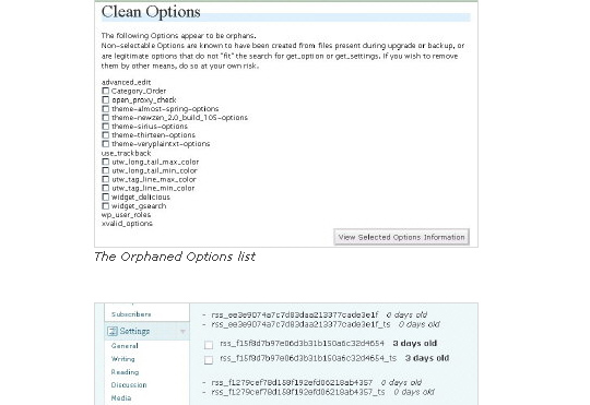 cleanoption