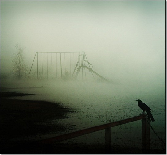 foggy-photography-18