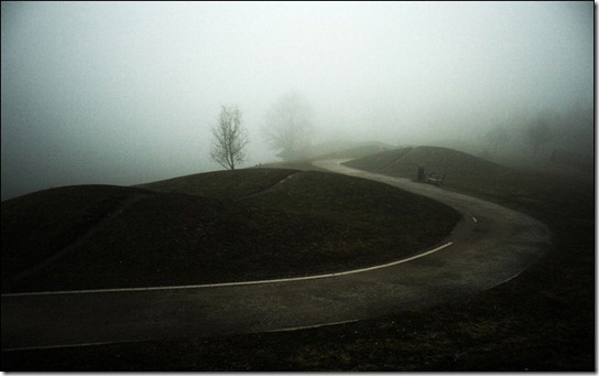 foggy-photography-19