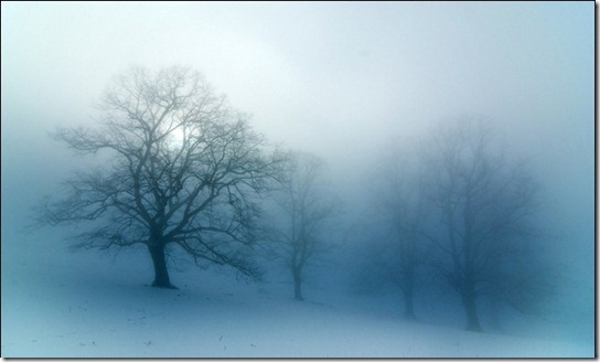 foggy-photography-28