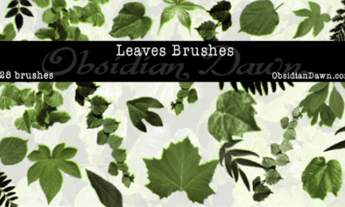 Leaves Photoshop Brushes