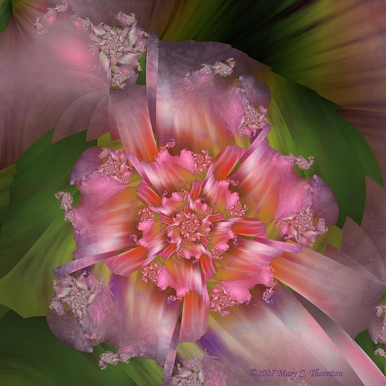 Fractal Art Pictures