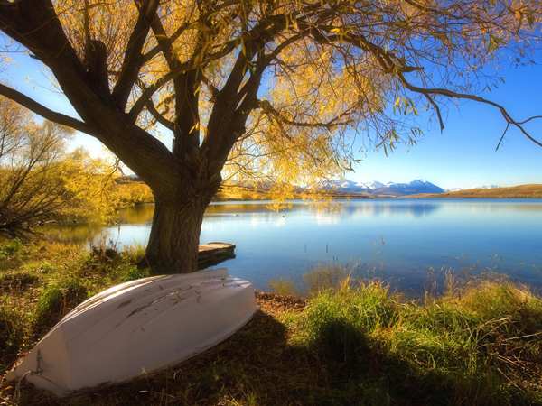 Autumn Lake