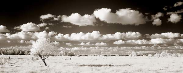  Clouds by Michi Lauke