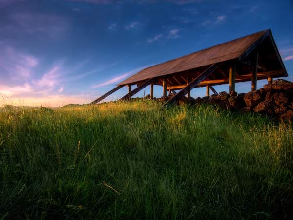 The Shelter 