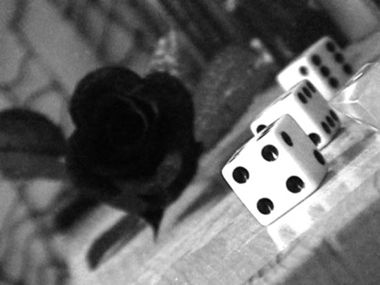 Dice, rose Black and white photography