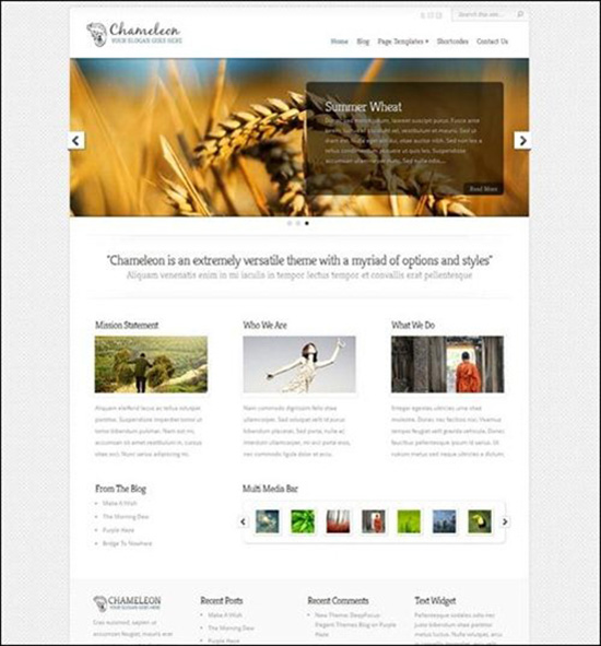 Freebusinesstheme30