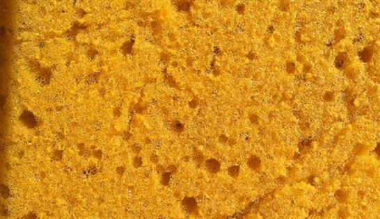 Sponge Texture Image & Photo (Free Trial)