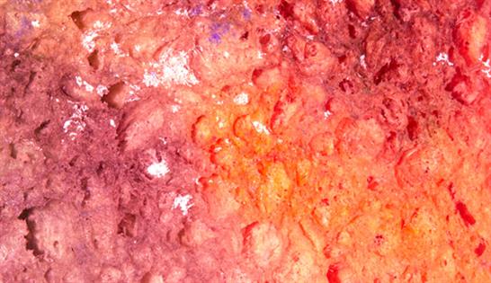 12-grunge-pink-sponge-texture