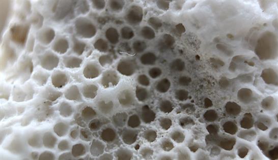 18-holes-white-sponge-texture