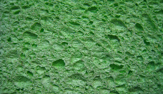 4-green-sponge-texture