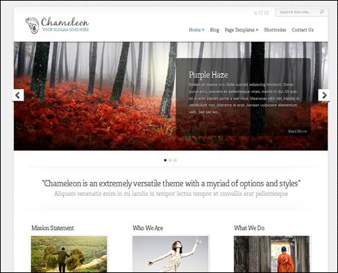 Chameleon WordPress Portfolio Theme