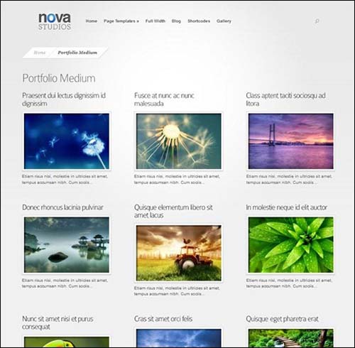 Nova-portfolio-business