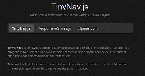 tinynav