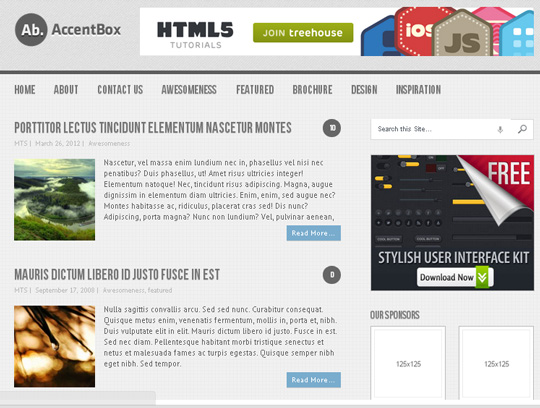 Accentbox-WordPress-Theme