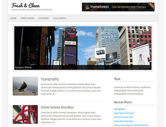 HTML5 Minimal WordPress Theme