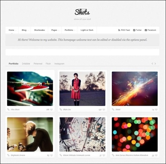 wordpress-grid-theme-16