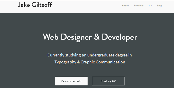 flat ui design inspiration for portfolio