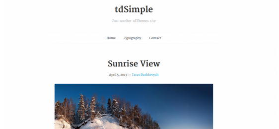 free minimalist typography wordpress themes