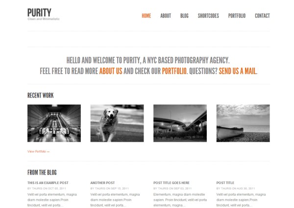 minimal-wordpress-theme-5