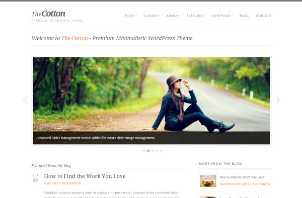 minimal-wordpress-theme-7