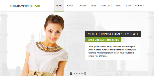 delicate full screen business wordpress theme