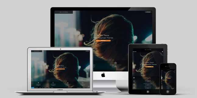 full screen business wordpress theme