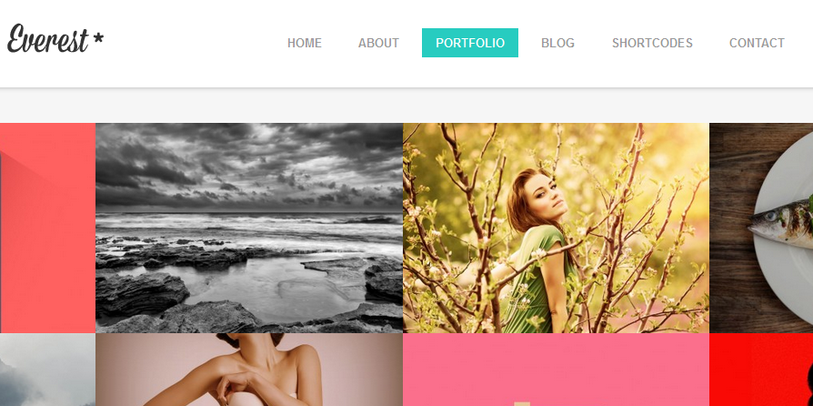 flat photography wordpress themes 10