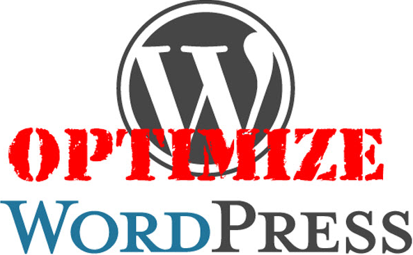 wordPress optimization