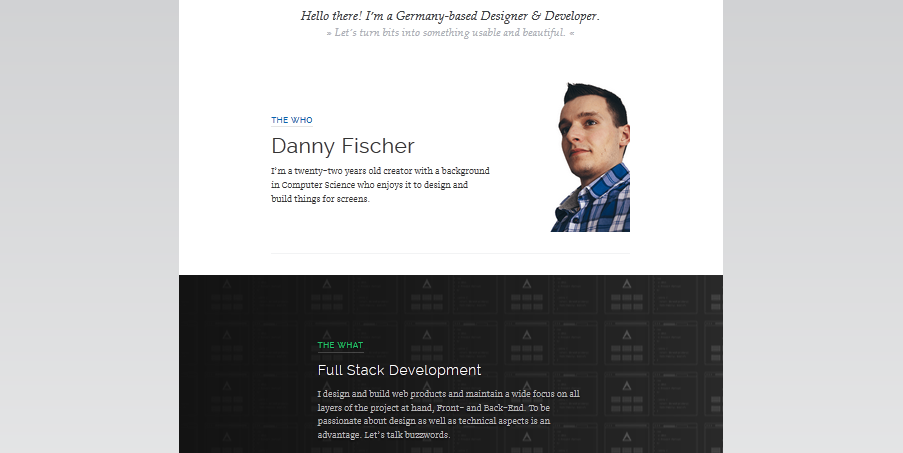 website portfolio for developer 2